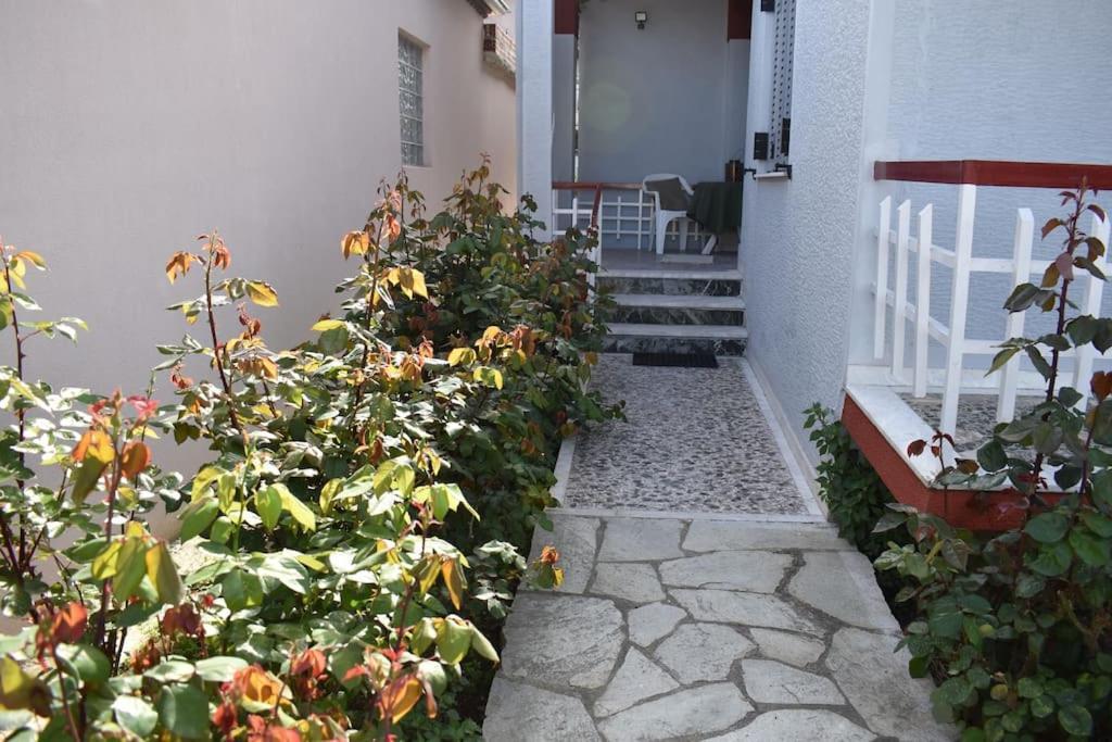 Rose's House Apartment *