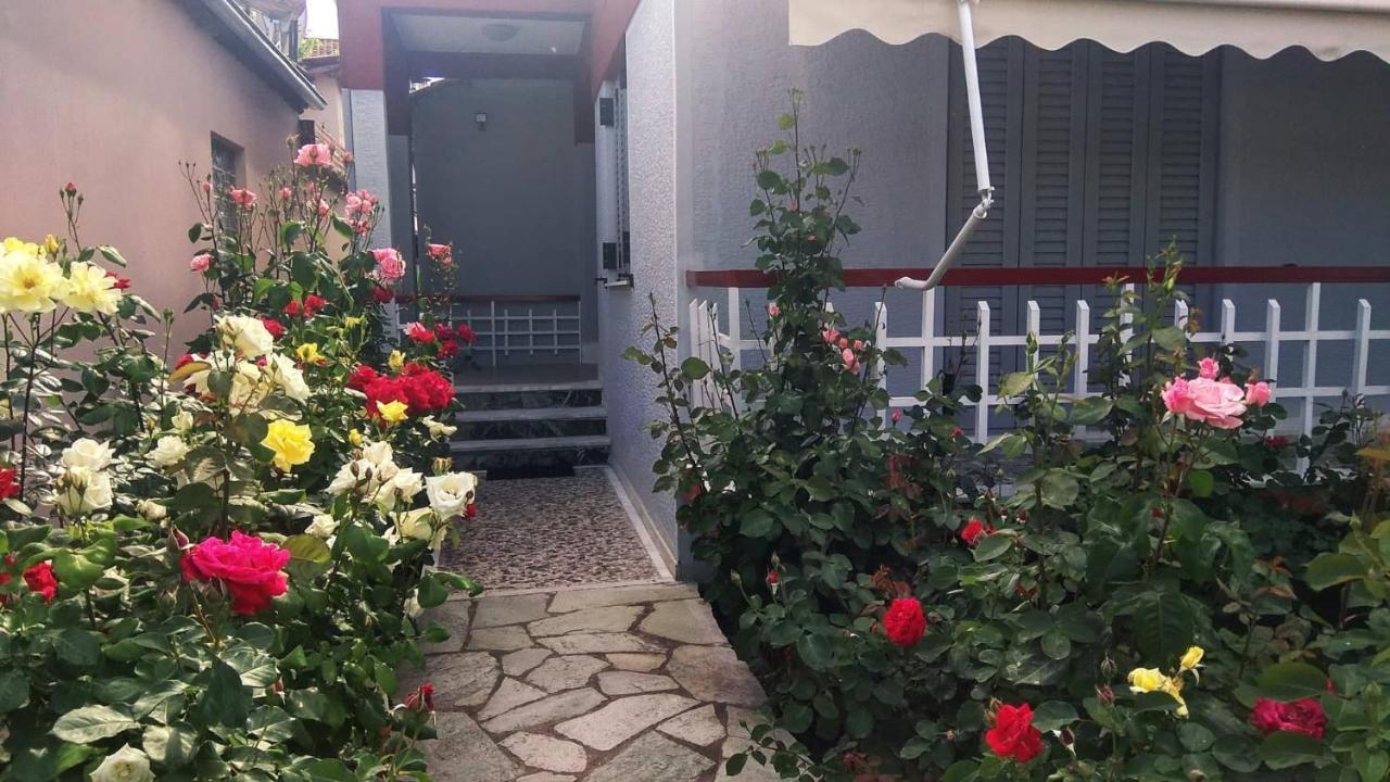 Rose's House Apartment *
